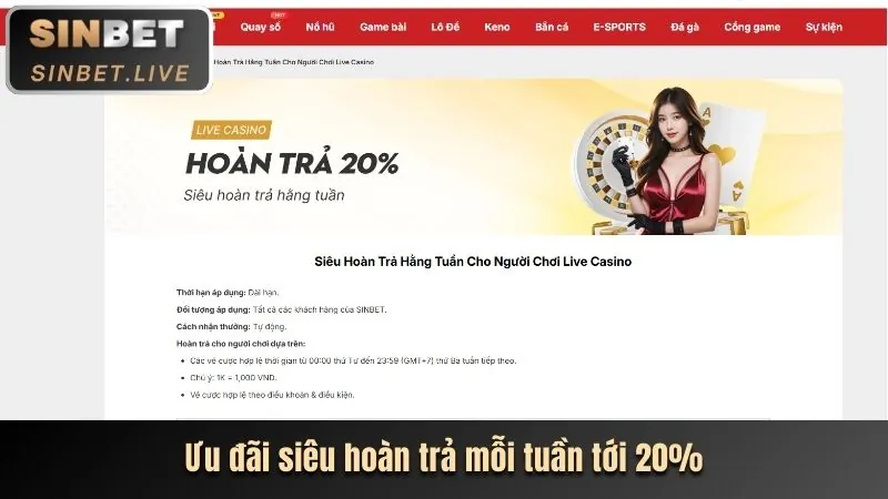 Hỗ trợ qua Live Chat 24/7